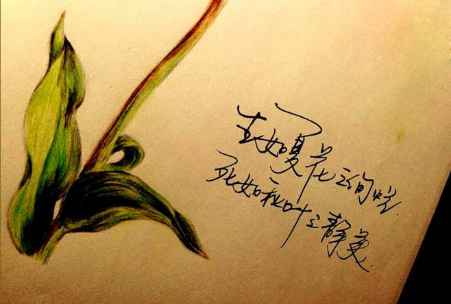 QQ圖片20190220120022.png